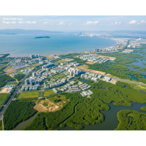 - hình ảnh minh họa dự án