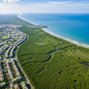 - hình ảnh minh họa dự án