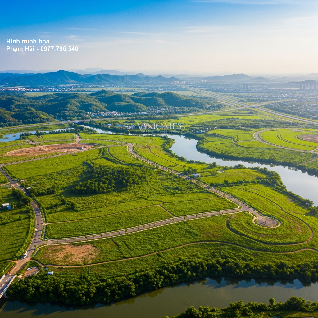 Hình ảnh dự án