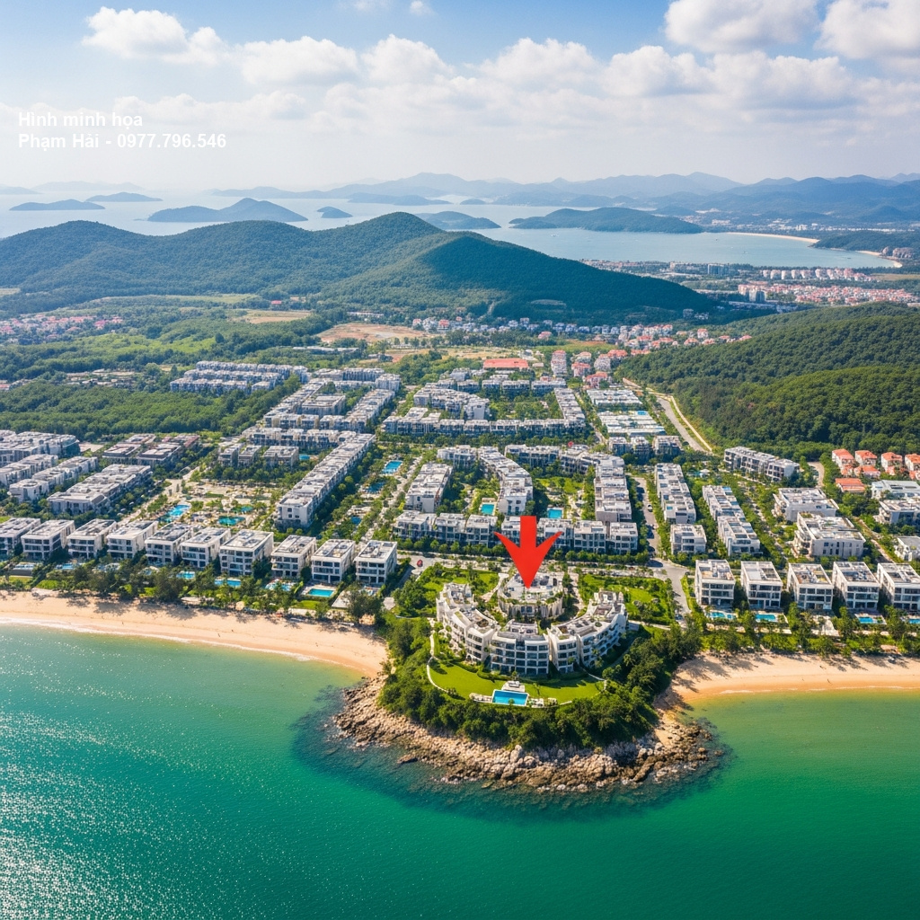 Hình ảnh dự án